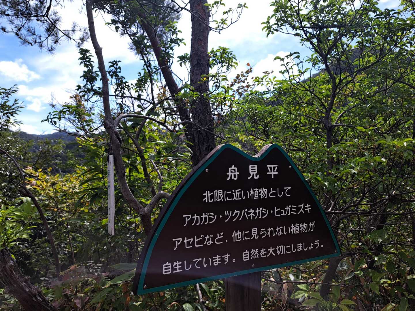 舟が見える平な場所という意味かな('_'?)～そのまんま