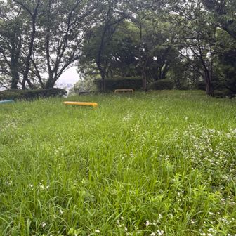 ここが城山山頂！公園になってます。