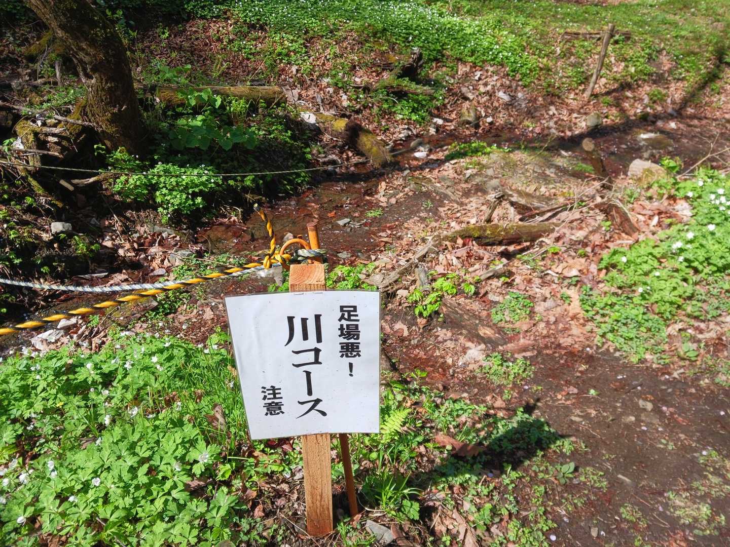 足場悪！
言葉遣い悪🤣！