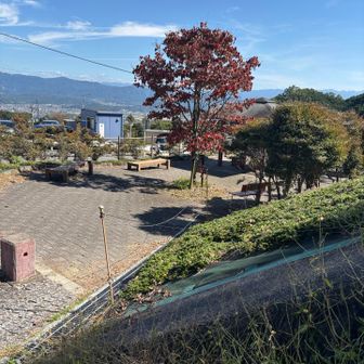 こちらのベンチでランチ🍙
今日はサンドイッチではありません😌