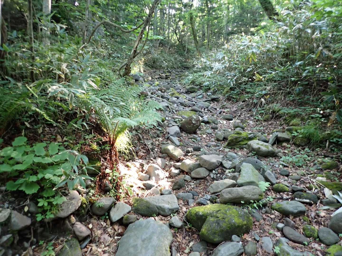 涸沢歩き