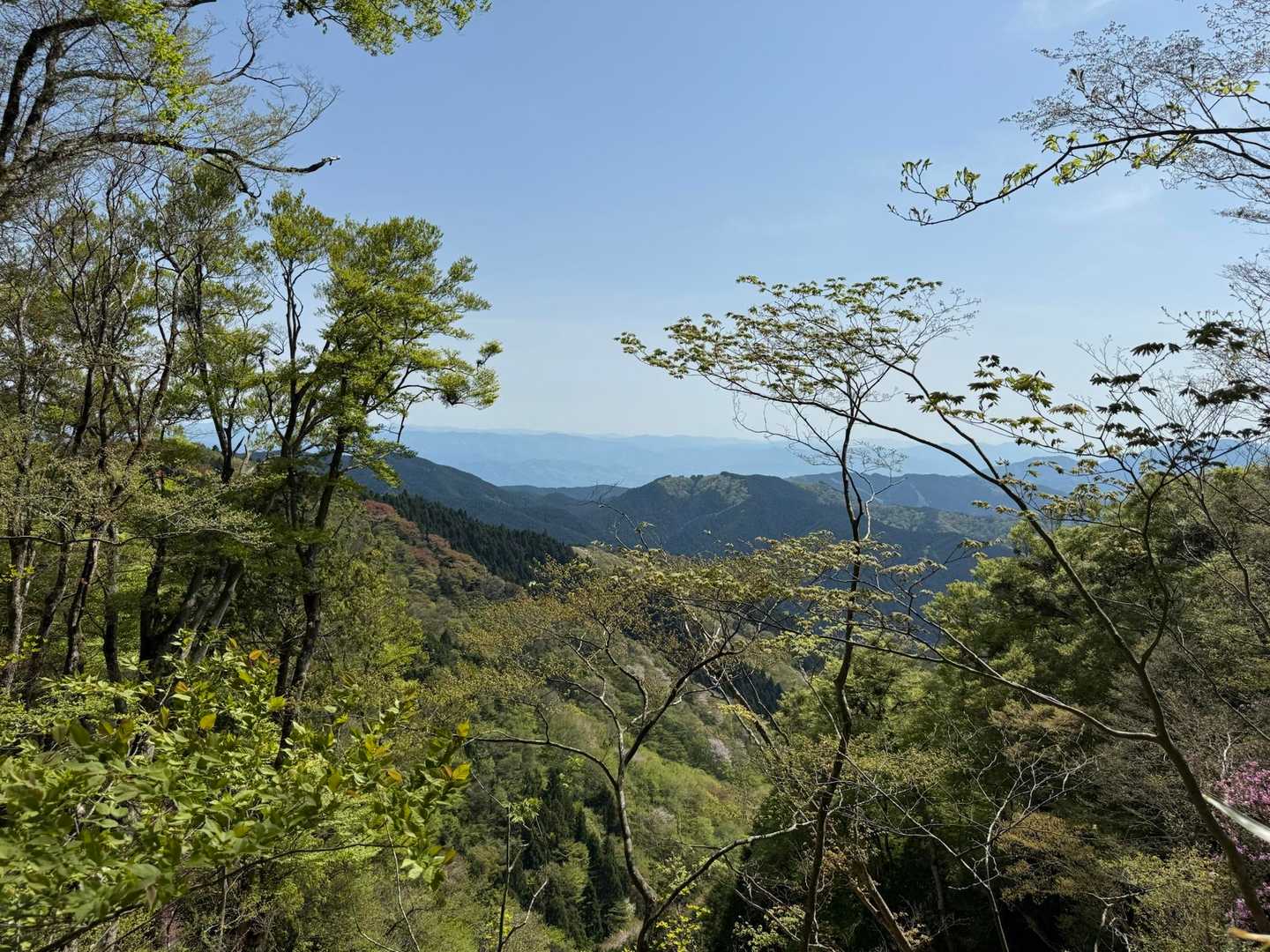 千早本道登山口-黒栂谷道-金剛山-千早本道 周回コースの写真