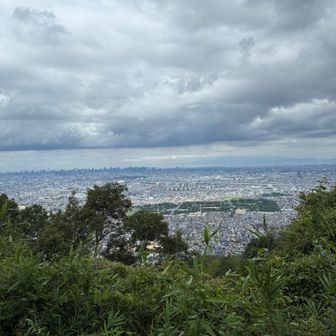 山頂から。雲が低いですね。
