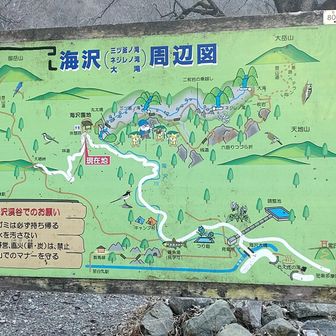 海沢園地入口
ヤマップの設定忘れたから途中からです
ちなみに、出発は林道入口からです💦