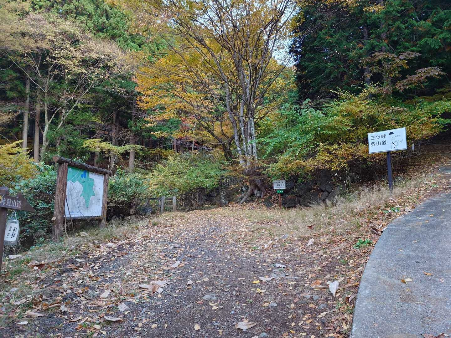 しばらく舗装路を歩いて🚶ここから登山道です⛰️