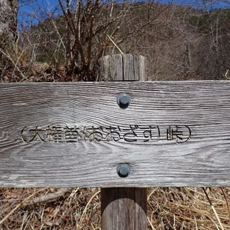 大権首峠に到着。
軽装の人たちが杓子山方面から来たが、たぶん駐車場から往復で登った人。