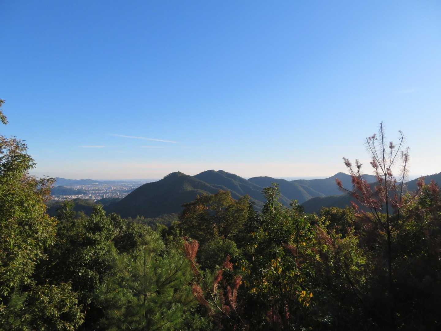 展望台より