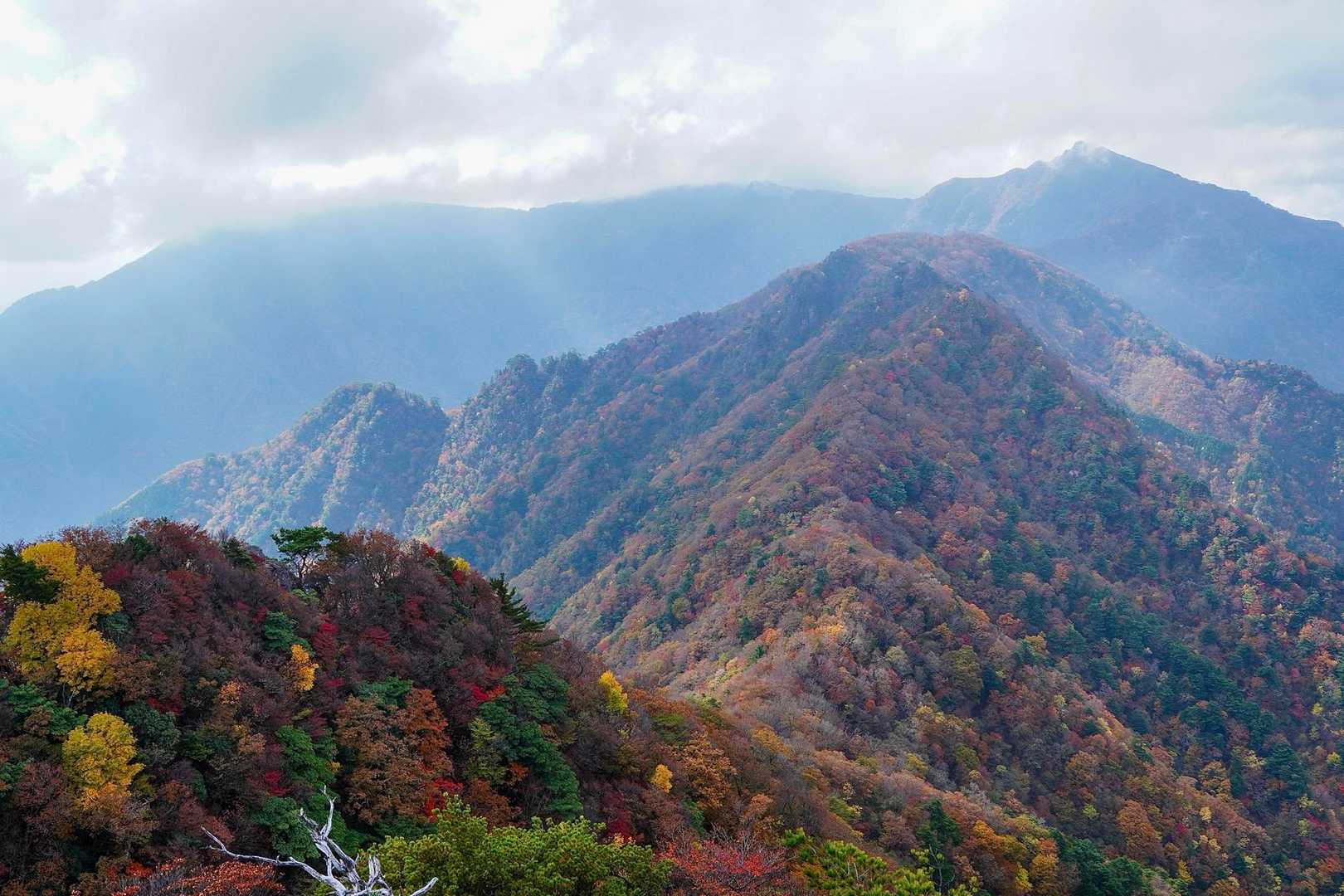 紅葉と山々の連なり
これ無料ですか？感動