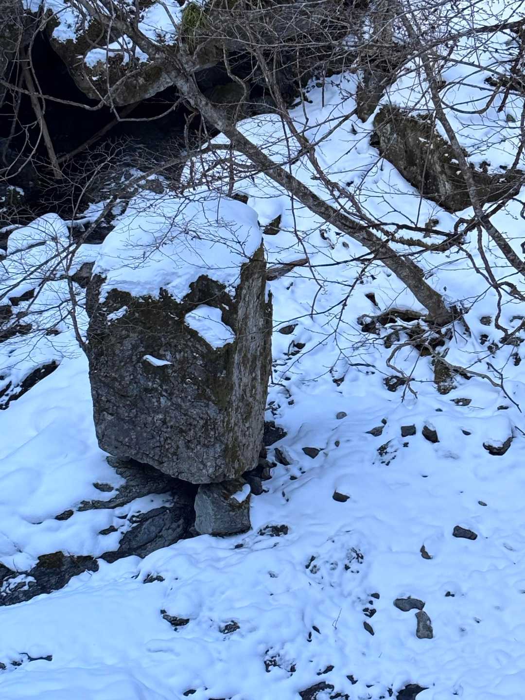 お爺さんに見えるこの岩､押してみたい