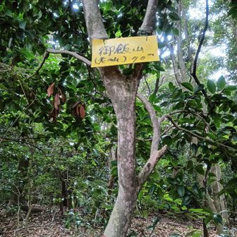 御飯のほうが良き🍚