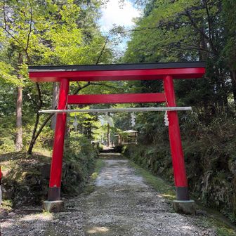 金時山は、山と食欲と私にも登場するのでずっと行ってみたかったので、今回は来ることができて嬉しいです🎶
私の家からだと日帰りで行くには微妙に遠いのでなかなか足が向かなくて今まで来てなかったのです😅