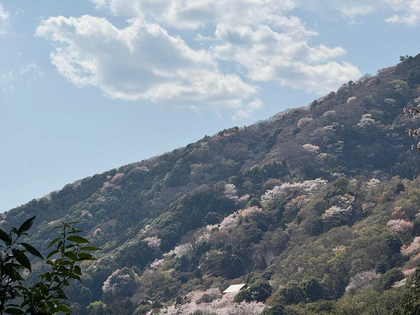朝日里山学校-雪入山-閑居山-浅間山-半田山 周回コースの写真