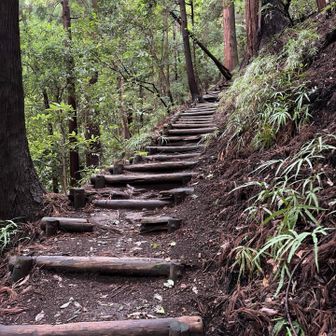 第一見晴までは階段多めの登り