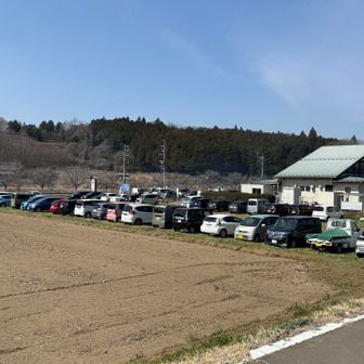 いい里さかがわ舘の駐車場は第二までほぼ満車。
平日なのに凄い人気。ミツマタ目当ての観光客、登山客がほとんどのよう。