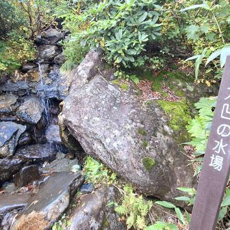 大凹の水場
