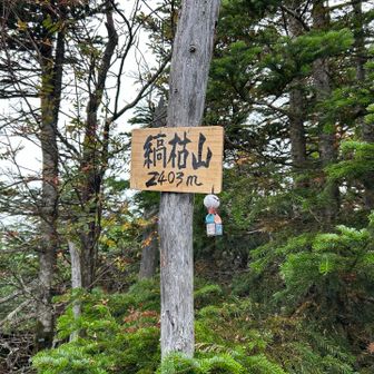 縞枯山に到着ヽ(´▽｀)/
ですが、眺望はなく、YAMAPのピーク位置はもう少し先です👆