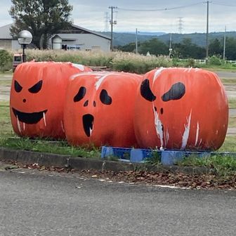 やくらいガーデンのハロウィン🎃オブジェ