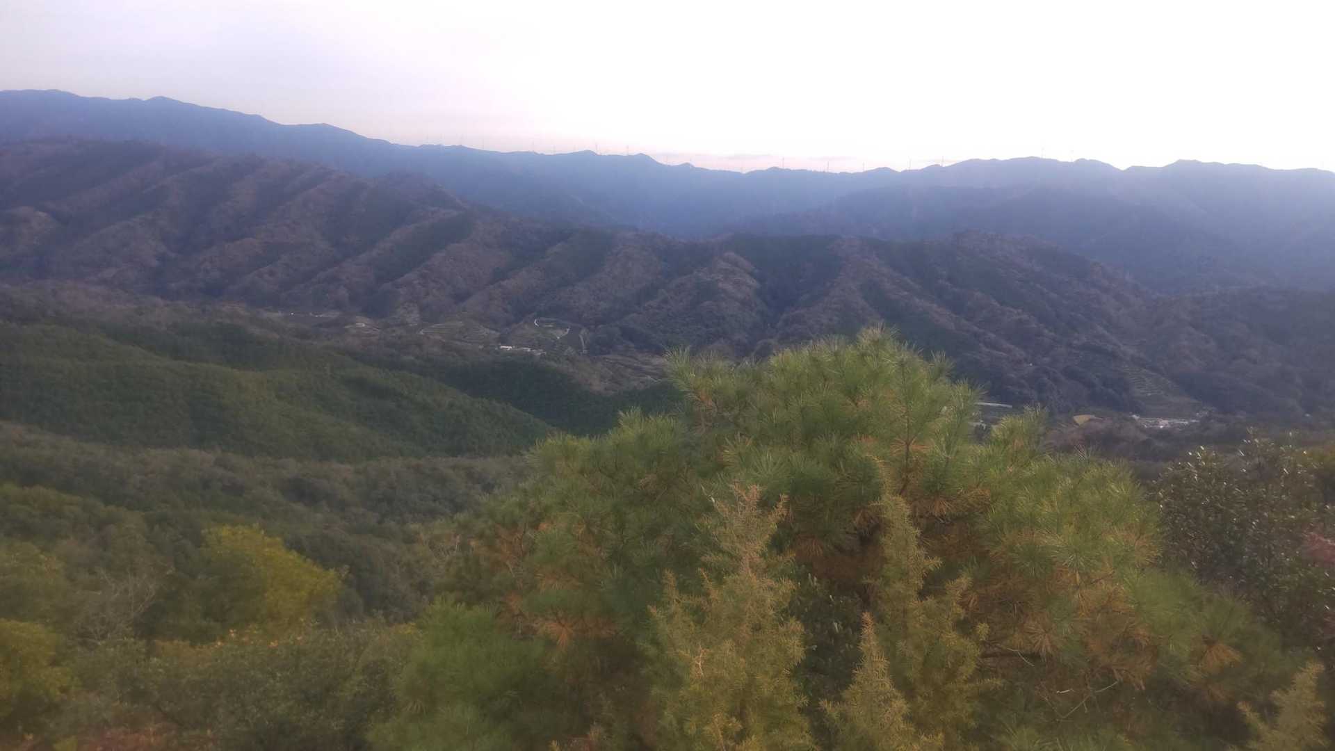 鳥屋城山 登山口-金毘羅神社-鳥屋城山 往復コースの写真