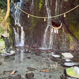 無事生還しました。

玉簾の滝

癒しの時間✨