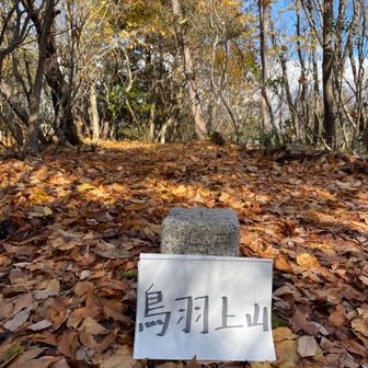 山名板がなかったので
「鳥羽上山」🙌二等三角点