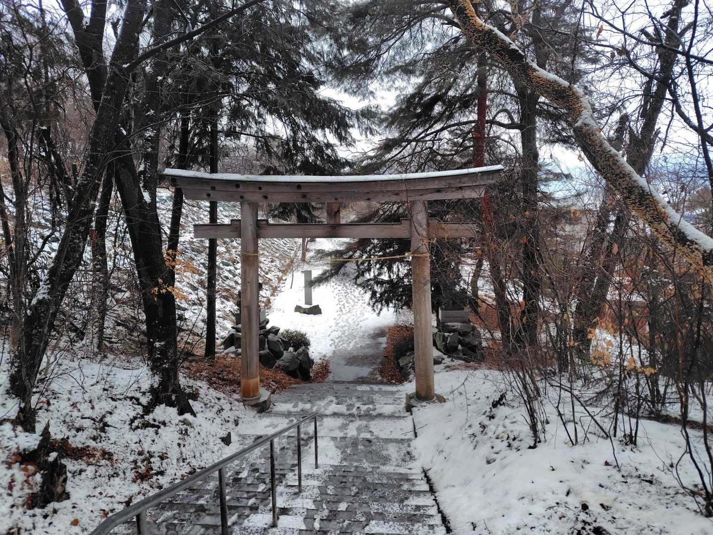 雨があがってきました