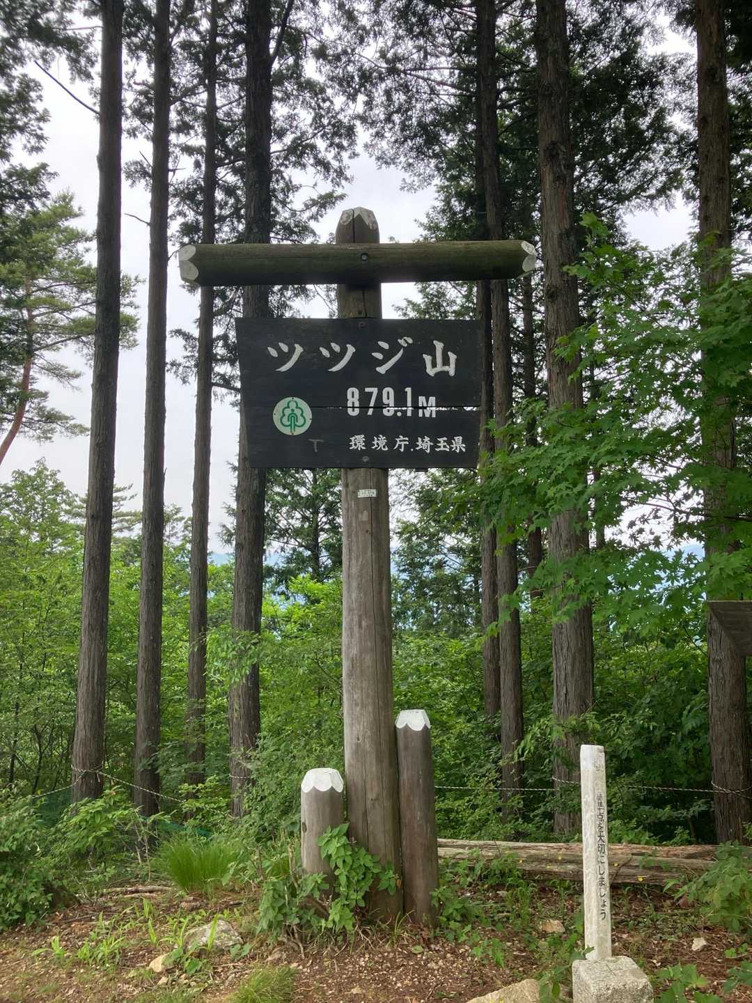 本日の最高地点・ツツジ山 山頂