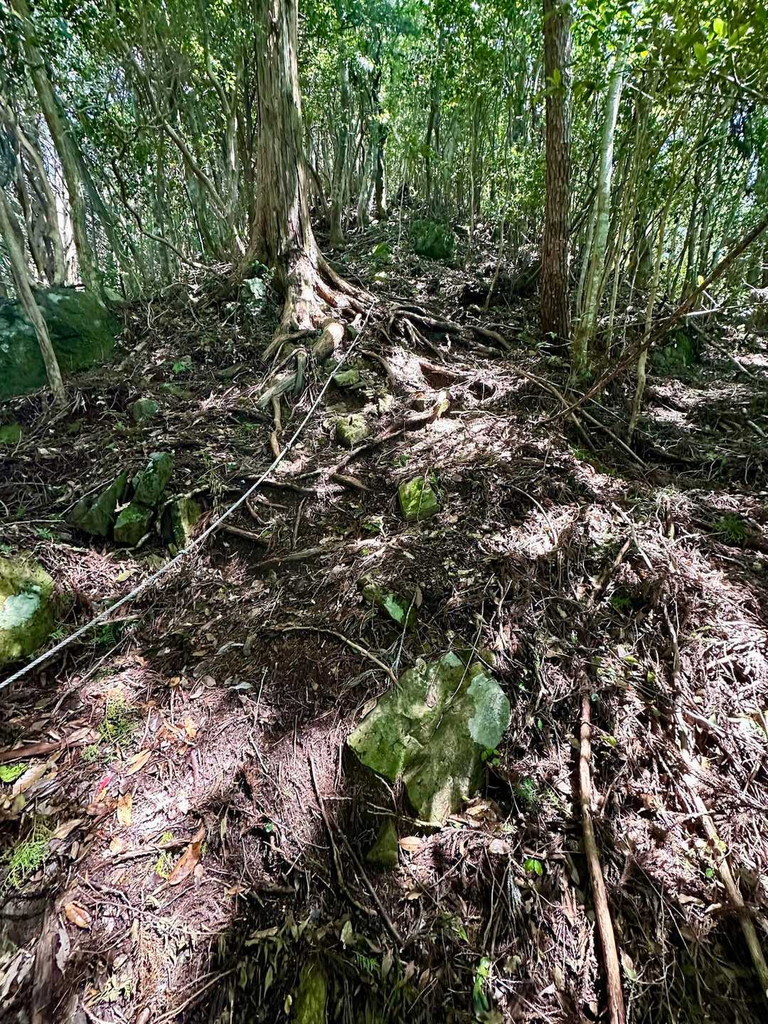 ロープ無くても大丈夫ですがずーっと登りは大変😭
