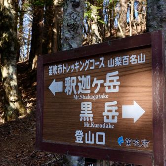 一度で山梨百名山を２つ登れてお得です