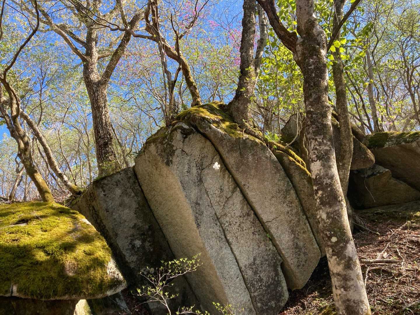 所々面白い形の岩があります。