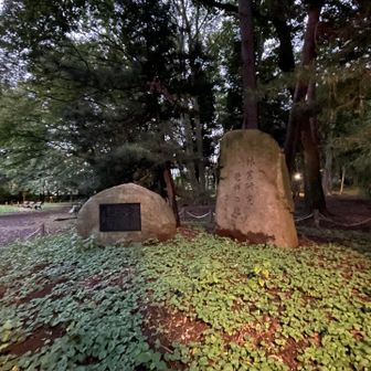 この石碑の辺りがランドマーク登録地点
やはり山頂っぽいものは何もない
一体誰が登録申請したのだろう

これはもしやランドマーク選定をAIに任せてみたら、語尾に「森」とつく地名は東北でよくある「〇〇森」という山と同じとして山頂判定→自動登録されたのだろうか（笑）

これが山頂ならかなりの公園に山頂設定されそう