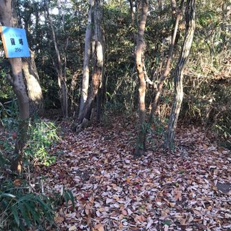 p364
ここから西に降りる分岐がある気がしたのですが、道なしと判断しました