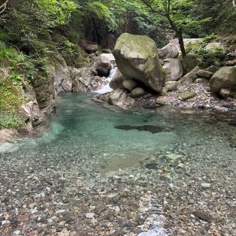 魚止め滝