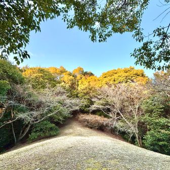 「きっとこの隙間から月を見る山なんだろうなぁ🌕」

1月とは思えないぽかぽか陽気だったこともあり、「月を眺めながらここで宴を楽しむのもいいなぁ〜」なんて思いました🍶

さすがにやらないですけどねぇ🤥
