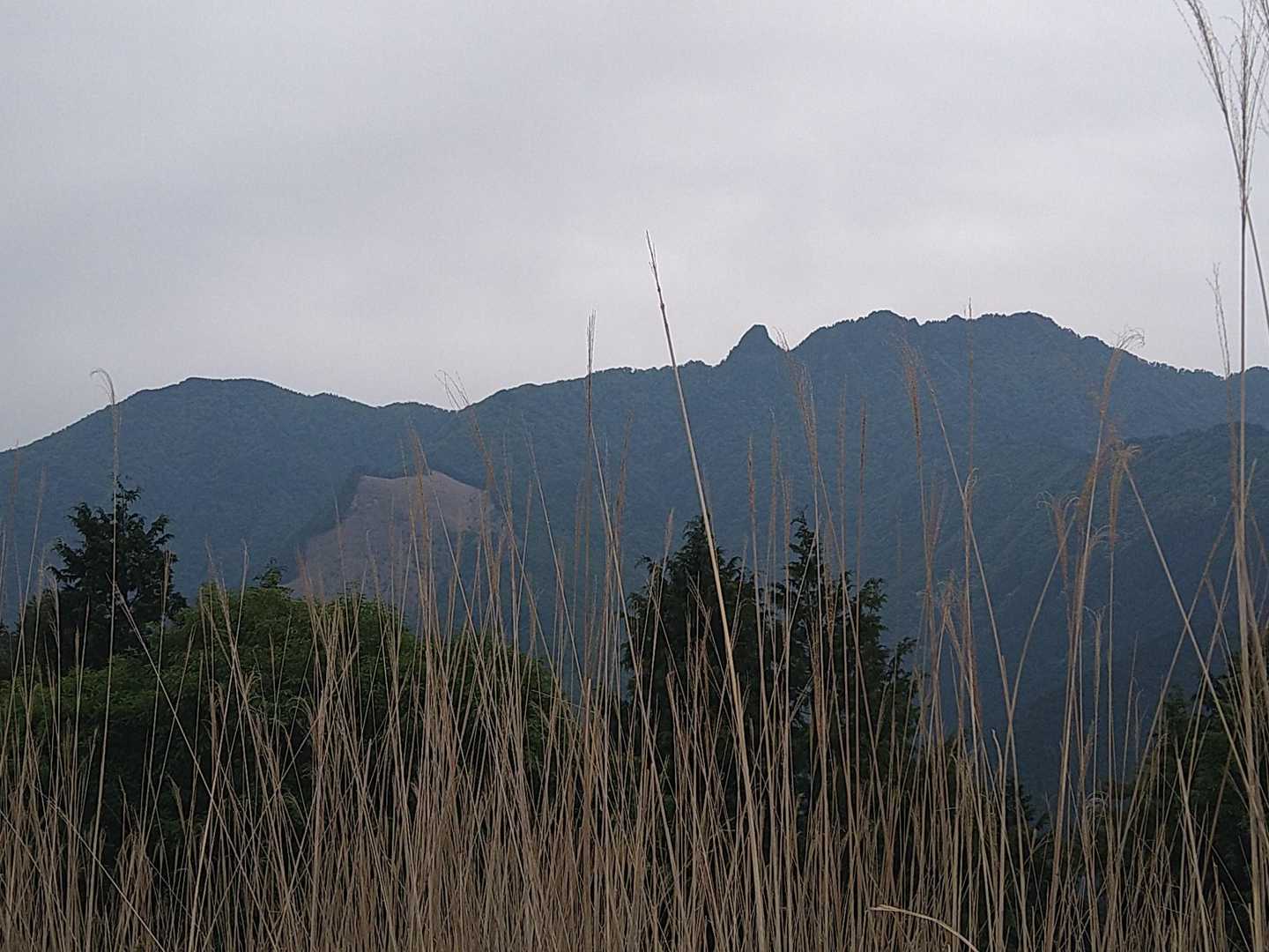 少し☔がパラついて来たので早々に大日山を観ながらピーク⛰️の観音峰山を目指します！