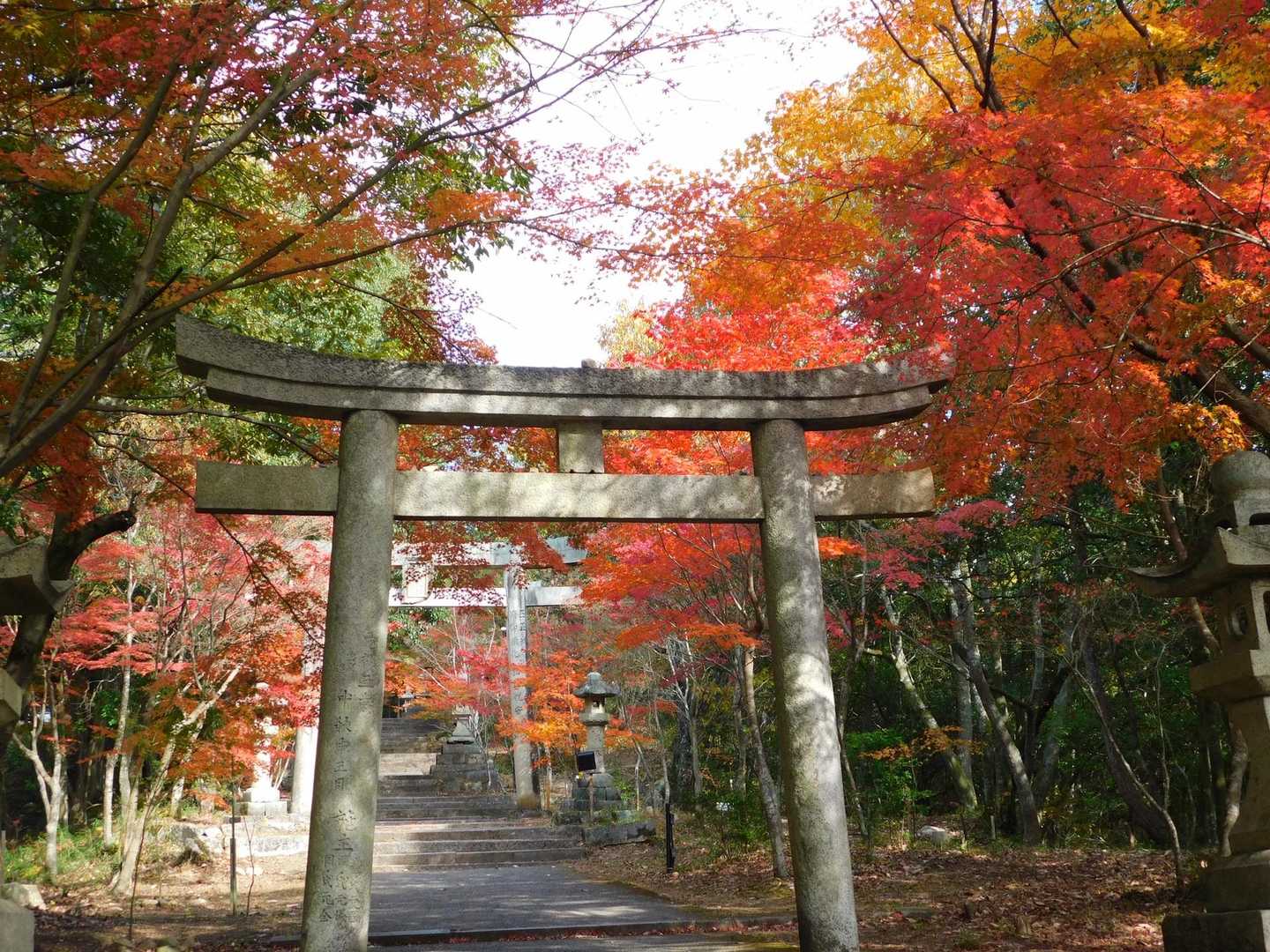 八尾山-亀ヶ岳 周回コースの写真