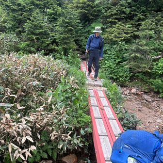 💁🏻‍♂️ある程度、登山道の整備はされてはいるが今だに台風の影響が残ってフィールドアスレチック化している状態でした‼︎(以前、天皇陛下が来て注目されたがその後の🌀台風で壊滅的な被害が出たのに関わらず税金が投入され無いのは残念ながらこの辺は個人所有の為自腹が原因だとか‼︎)