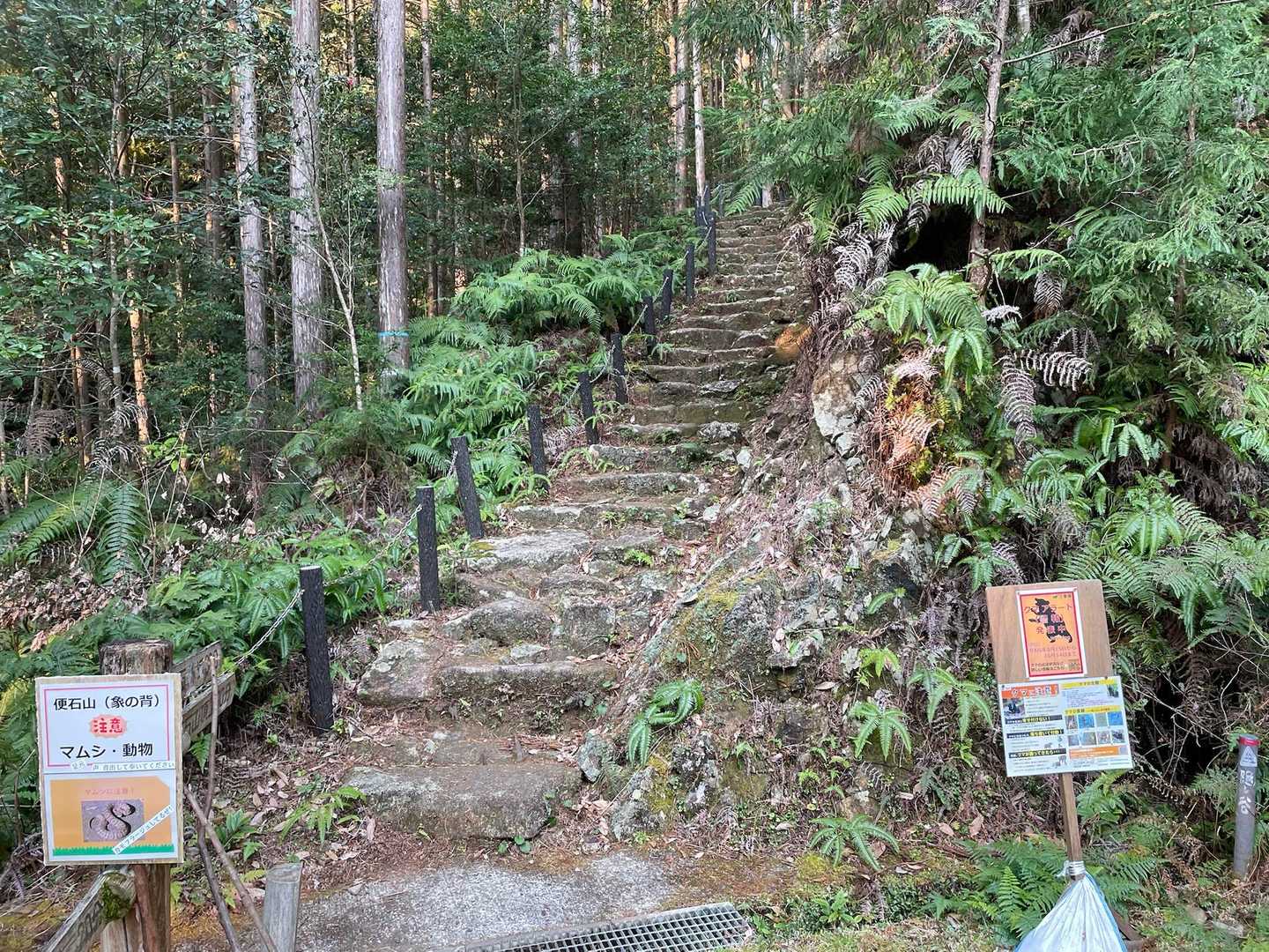 登山口に到着〜
噂どおり階段の始まり始まり〜
