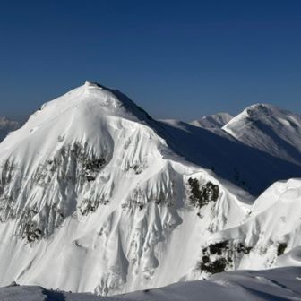 この時はこれがベストショット！と思ってたが、後で見ると出来栄えイマイチ😓