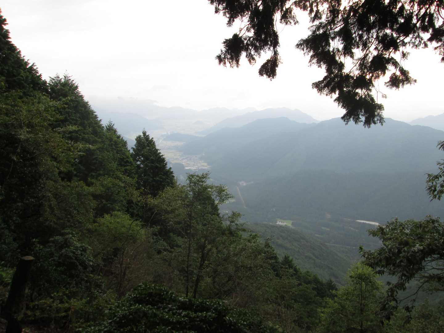竜ヶ岳-大井戸山 周回コースの写真