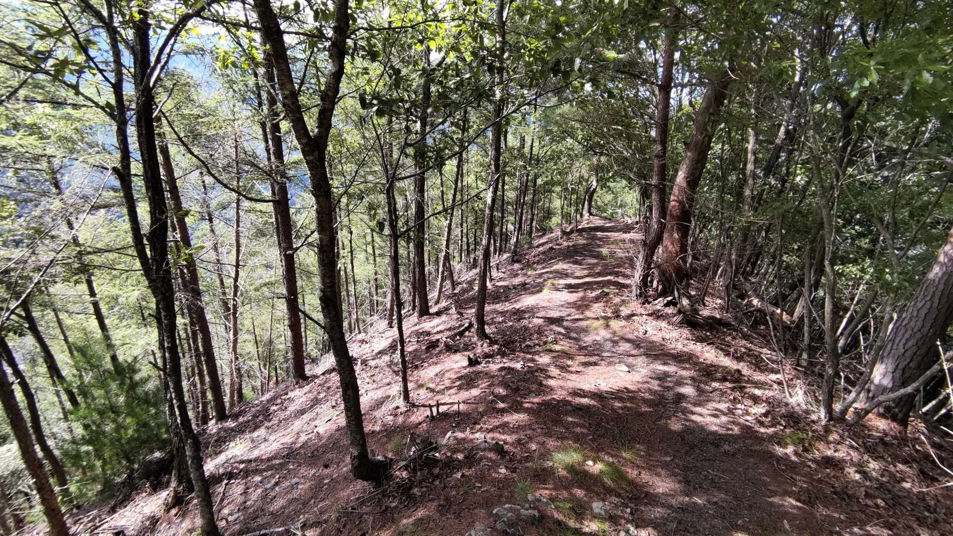 下山ルートはたまに急降下、あとはのんびり〜👣