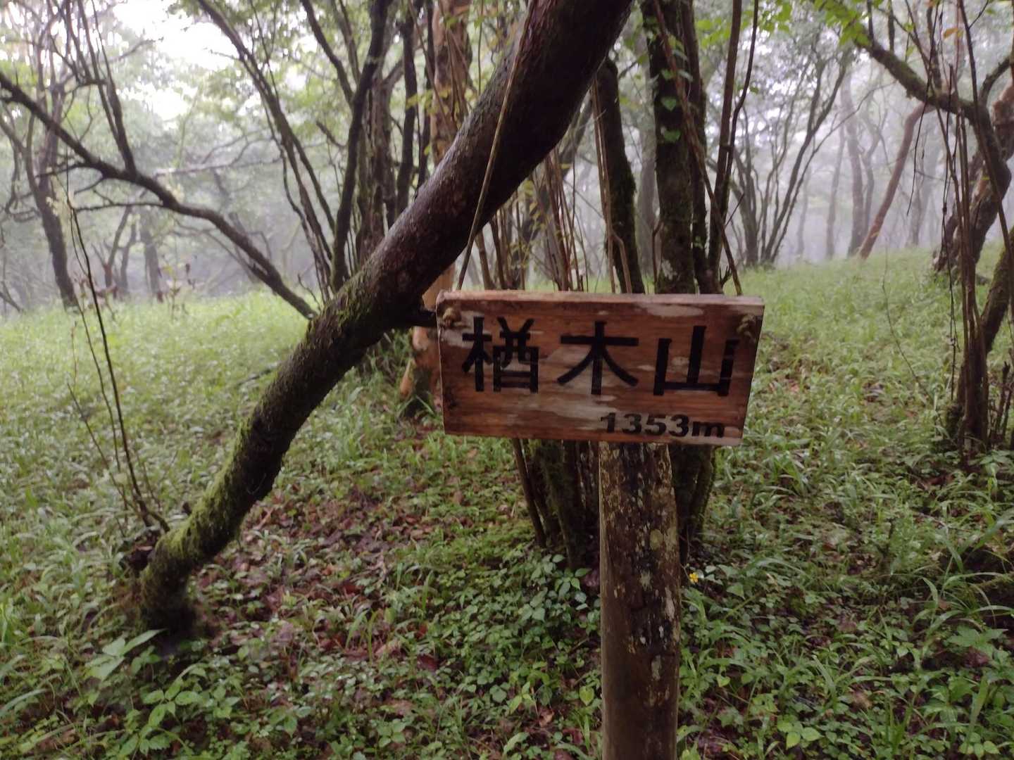 楢木山🚩通過します