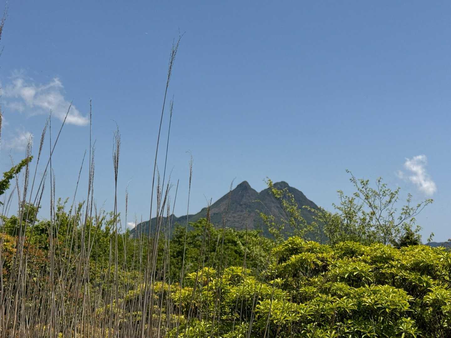 倉木山登山口-倉木山 往復コースの写真