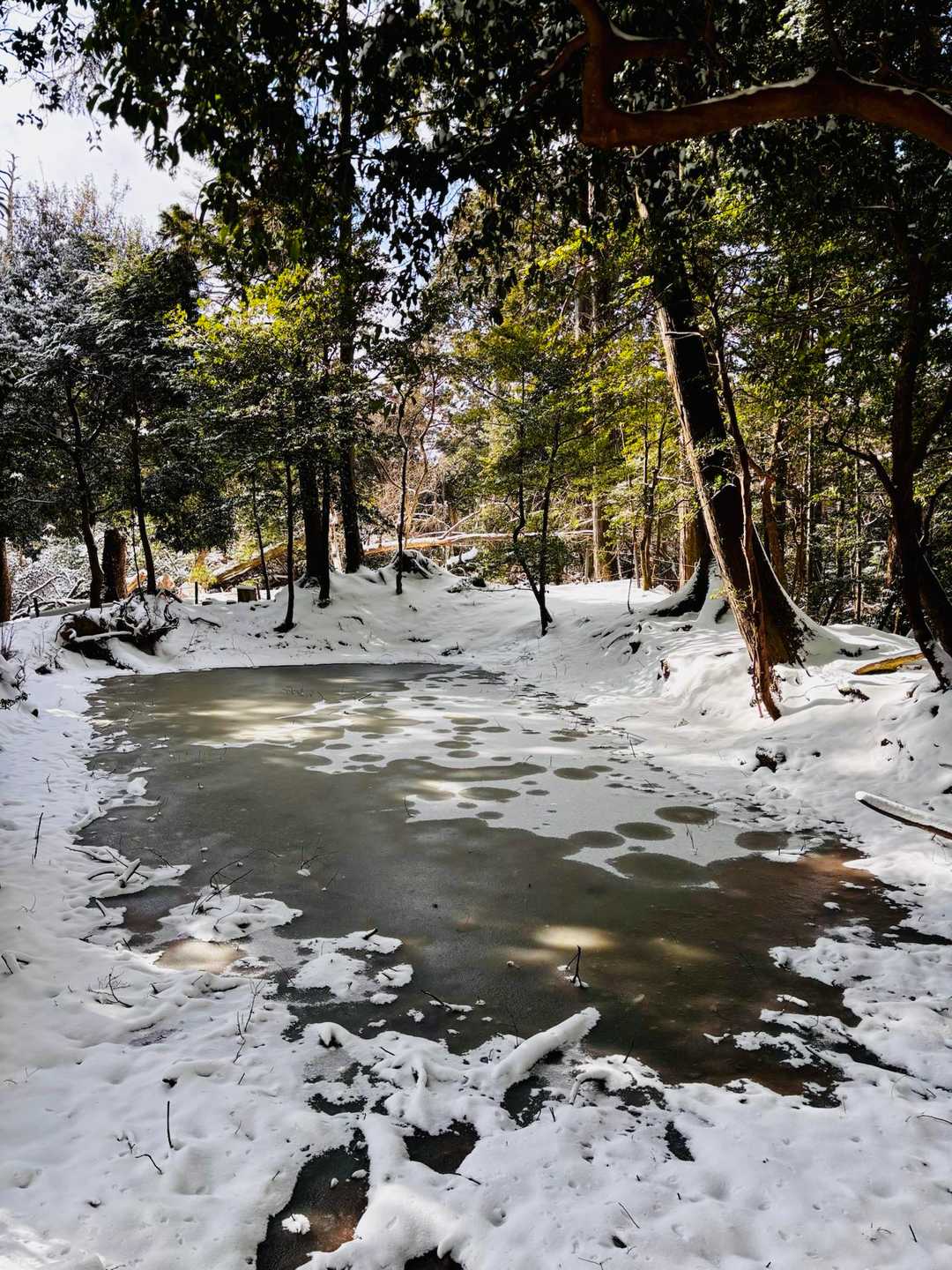 んん？池？
行きも横を歩いてたのにルーファイに必死で池に気づいてませんでした