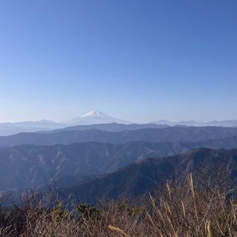 この日初めて富士山を拝めて感無量