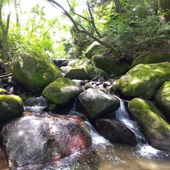 加茂川。
下流の二丈渓谷に向けてキレイな流れですよね。