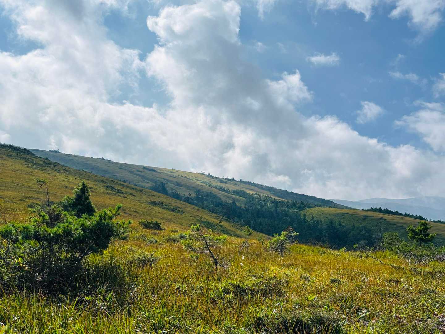 また晴れてきたね🤣
晴れ男パワー強し👍