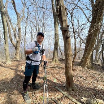 奥ゆかし山⛰️控えめな処がいいじゃん👍