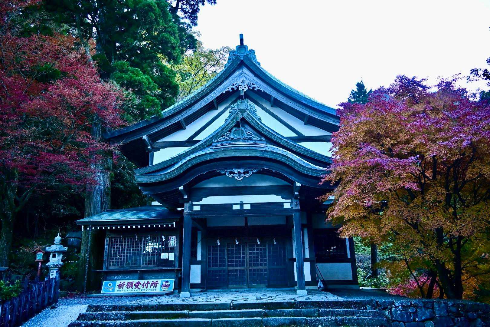 別所登山口-奉幣殿-鬼杉 往復コースの写真