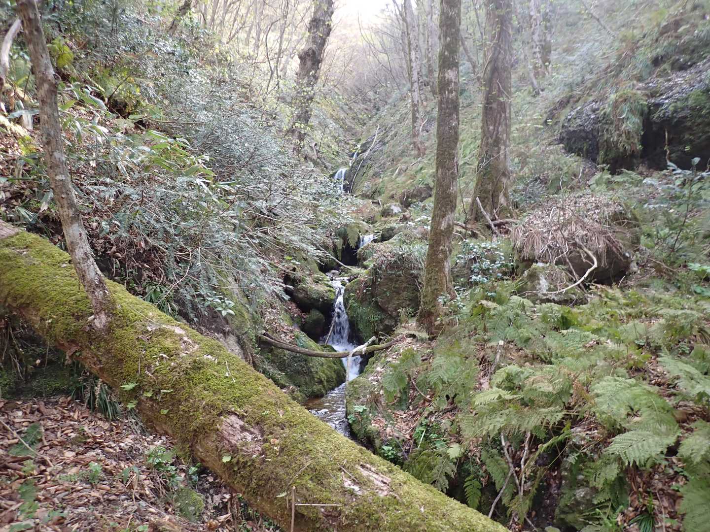 鶴見の滝