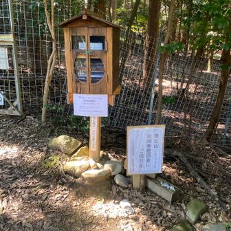 1日でカウンターがリセットされていました。